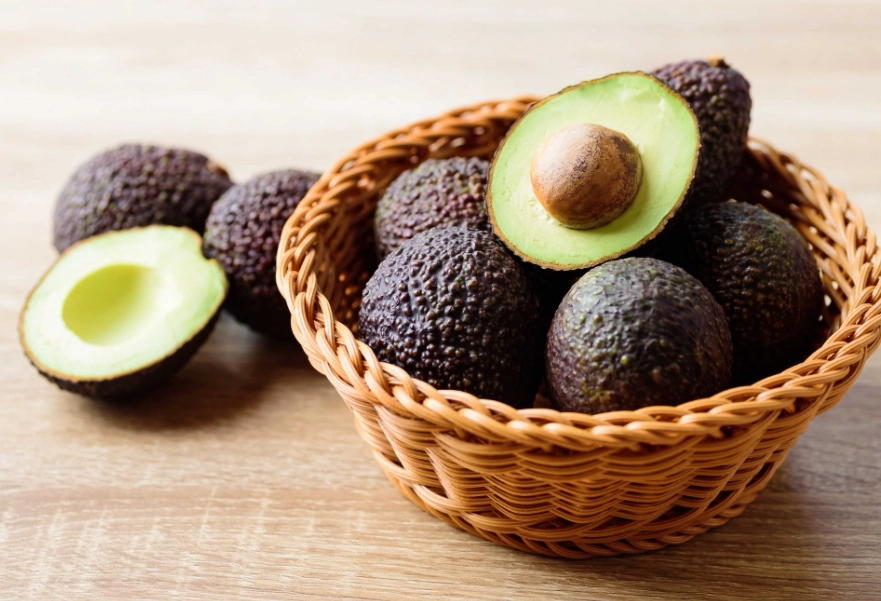 酪梨料理 酪梨料理