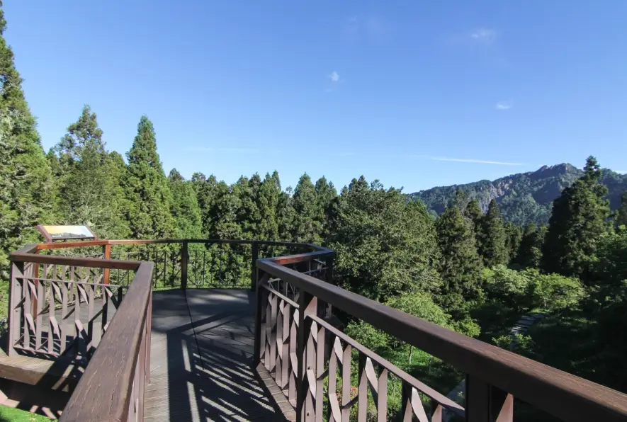 阿里山開車一日遊