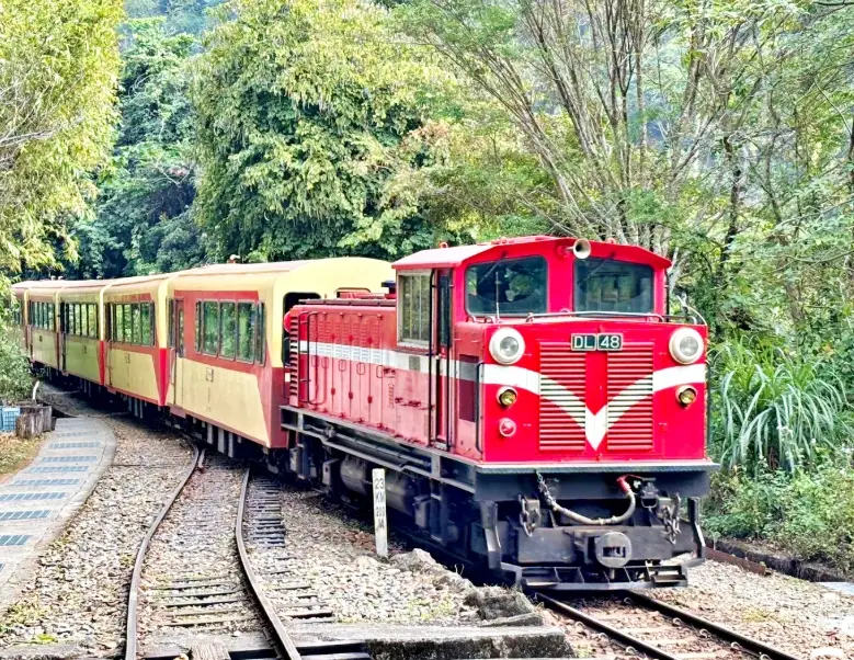 阿里山森林遊樂區