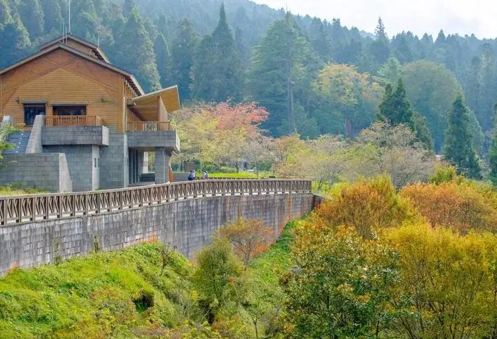 阿里山行程規劃