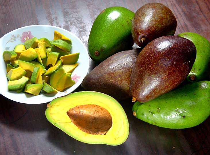 酪梨料理 酪梨料理