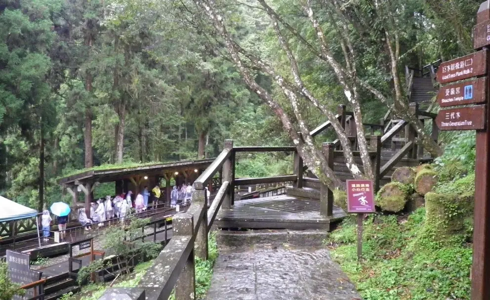 阿里山行程規劃