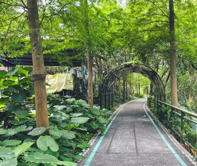 雲林兩天一夜 雲林兩天一夜
