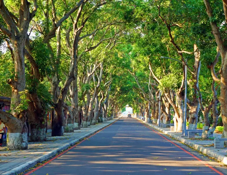 雲林親子景點 雲林親子景點