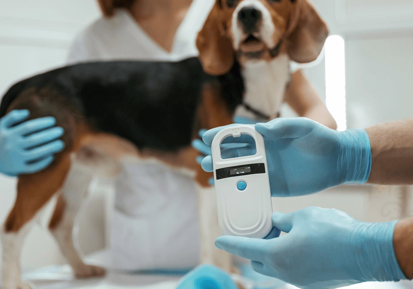 狗狗打晶片費用 狗狗打晶片費用