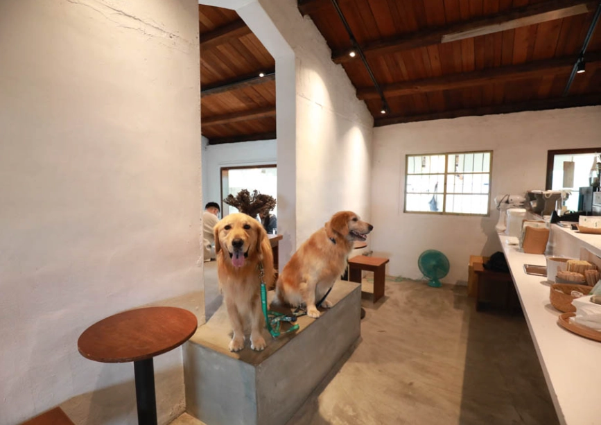 花蓮寵物友善餐廳