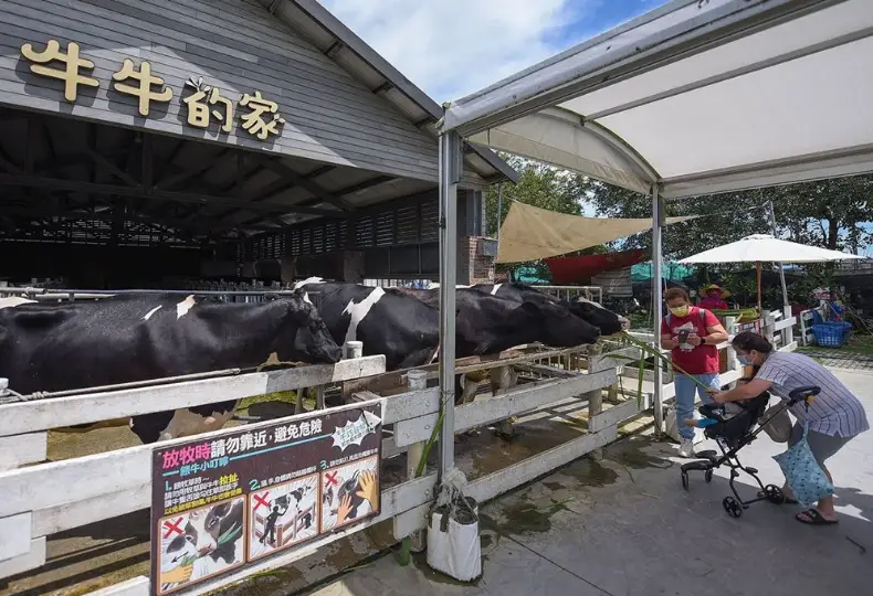 劍湖山世界親子 劍湖山世界親子