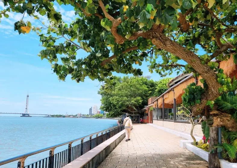 台灣無障礙旅遊 台灣無障礙旅遊