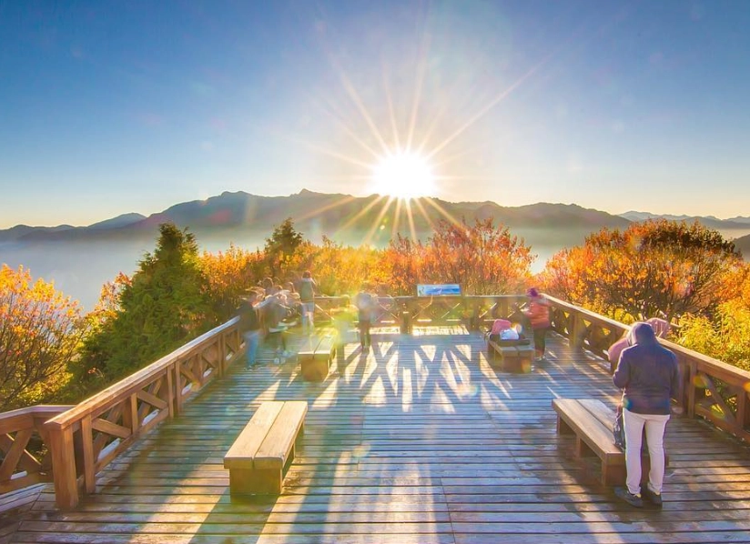 阿里山旅遊 阿里山旅遊
