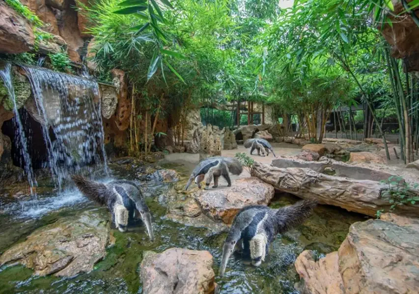 長鹿旅遊休博園 長鹿旅遊休博園