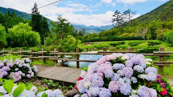 武陵農場一天來回