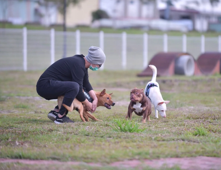 寵物友善景點 寵物友善景點