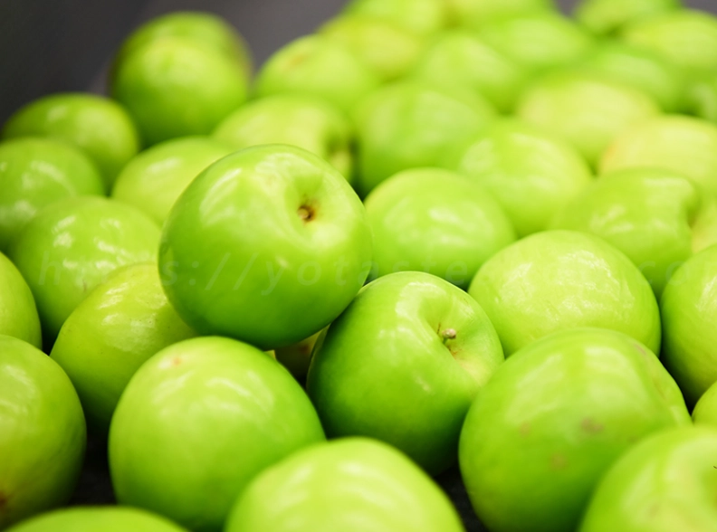 蜜棗好處 蜜棗好處