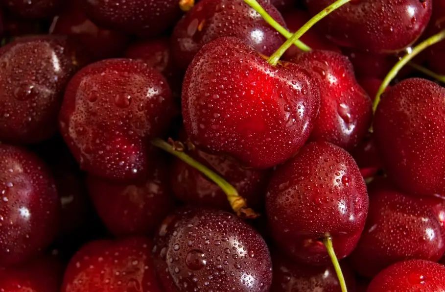 櫻桃挑選技巧