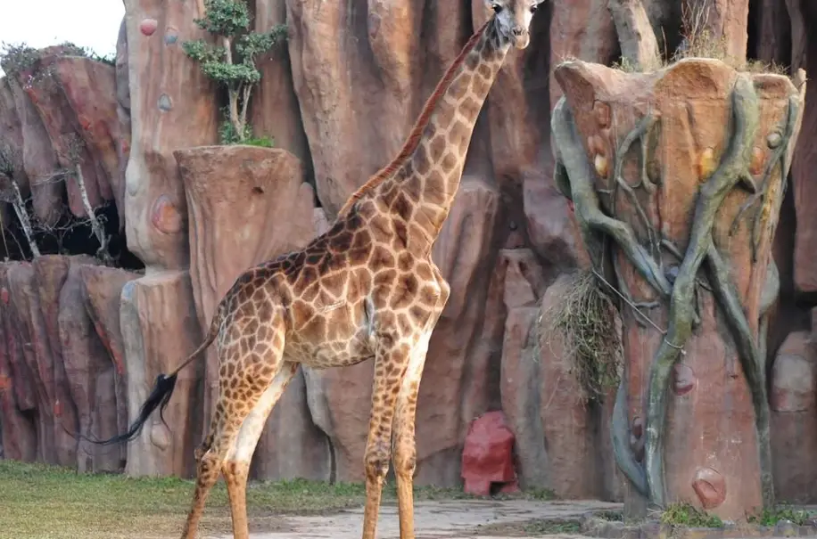 旅遊休博園地圖 旅遊休博園地圖