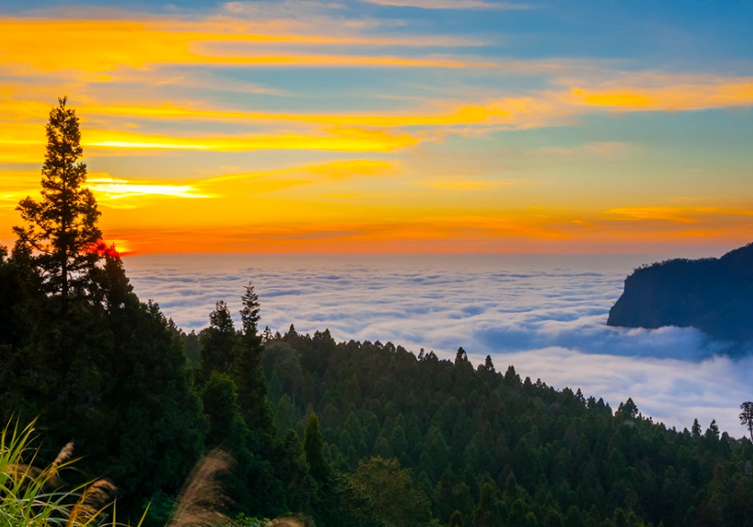 嘉義爬山 嘉義爬山