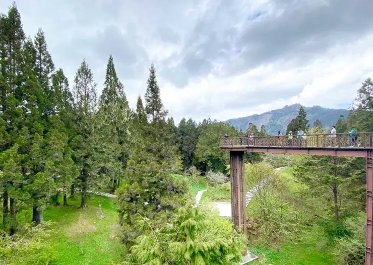 嘉義爬山 嘉義爬山