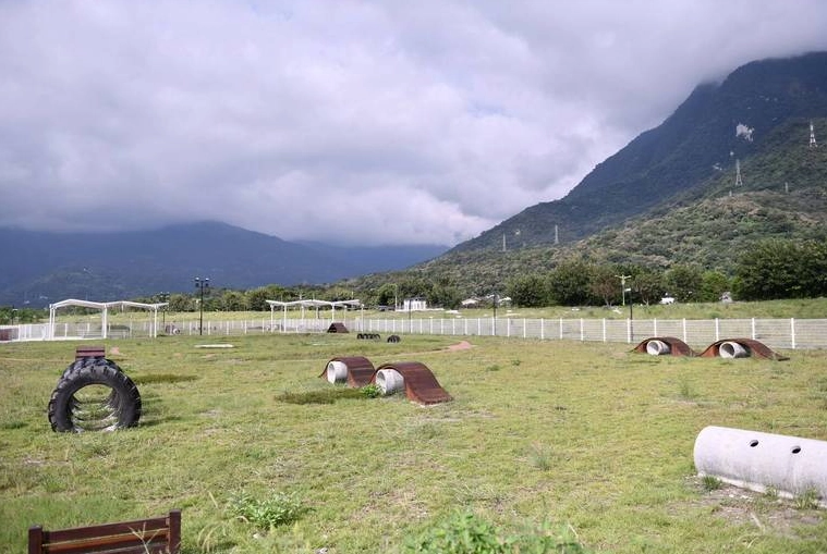 花蓮遛狗 花蓮遛狗