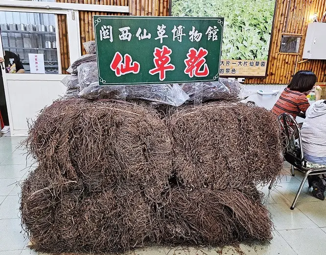 台3線自駕遊 台3線自駕遊