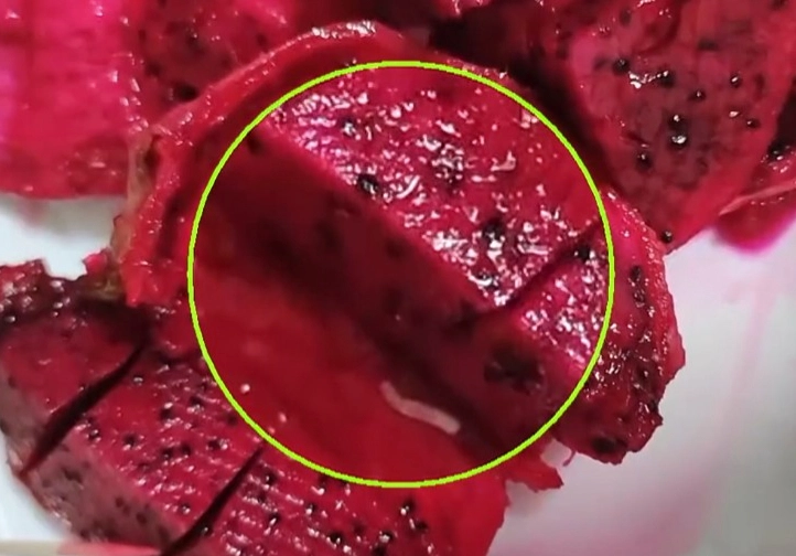 食品安全 食品安全