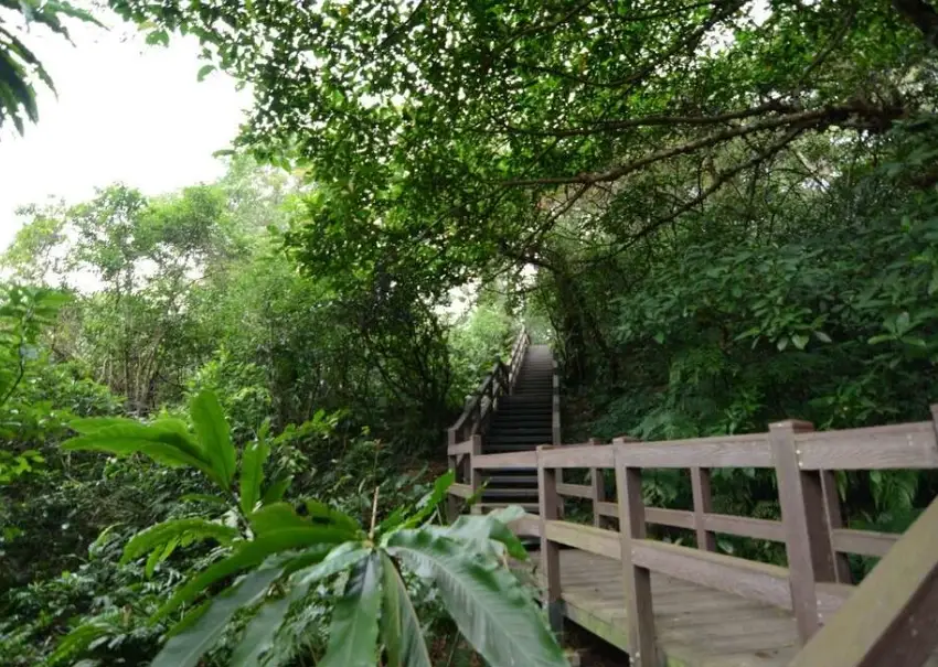 台北自然步道 台北自然步道