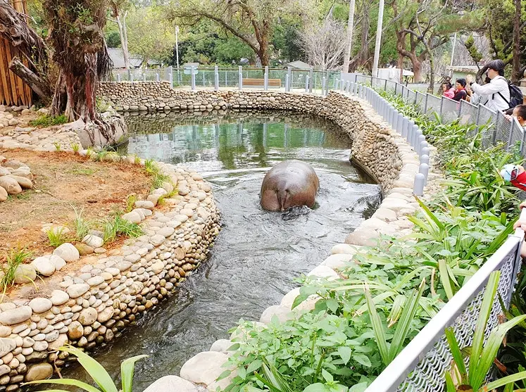新竹動物園門票