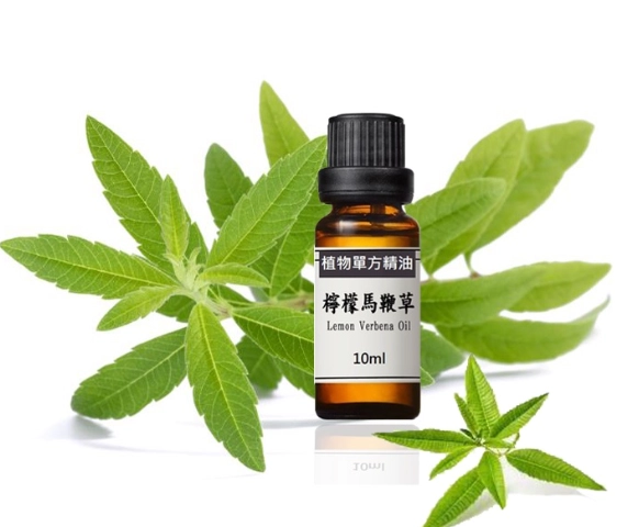 檸檬草精油味道全解析：從香氣辨別品質到生活應用