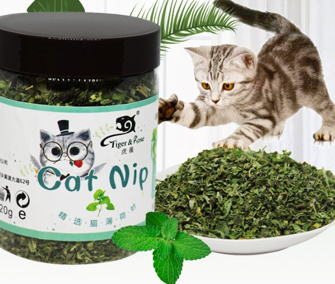 貓薄荷 使用年齡