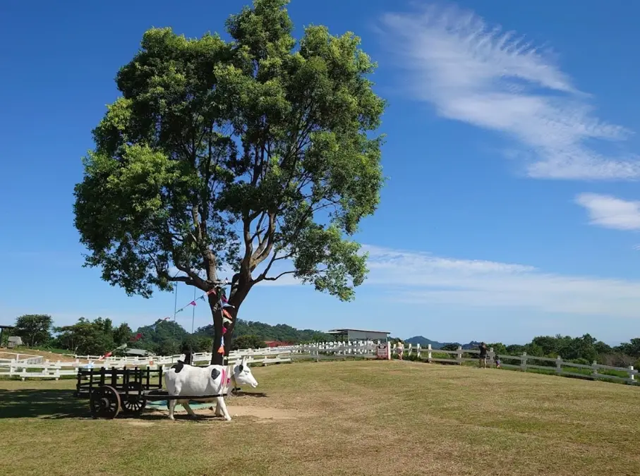 台東親子一日遊