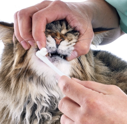 潔牙工具推薦 潔牙工具推薦