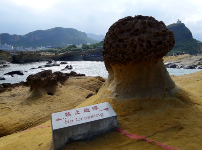 野柳交通 野柳交通