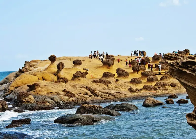 野柳一日遊 野柳一日遊