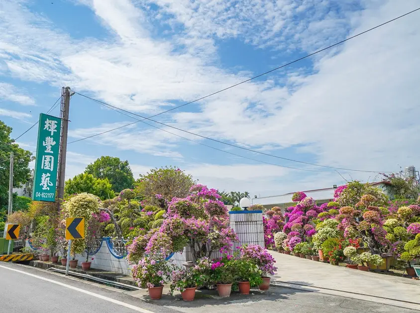 彰化適合長輩的景點 彰化適合長輩的景點