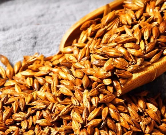 麥茶 要炒嗎 麥茶 要炒嗎