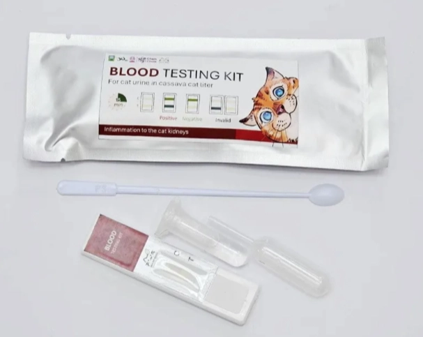 血尿緊急處理 血尿緊急處理