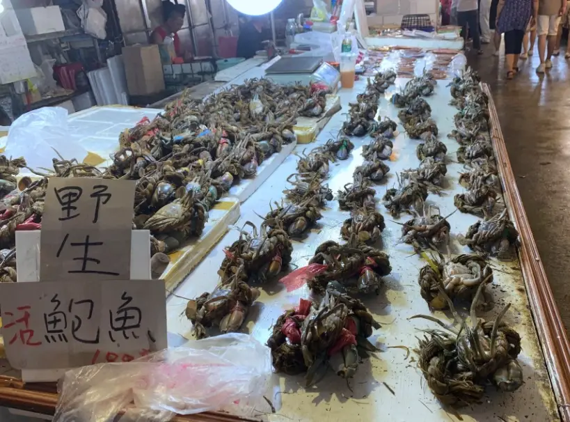 嘉義景點推薦 嘉義景點推薦