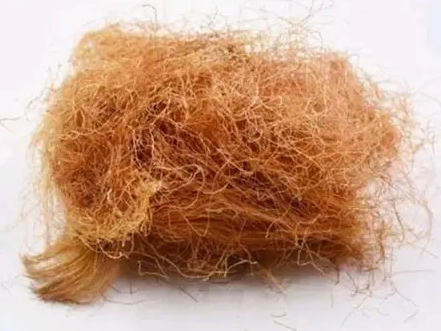 玉米鬚煮法 玉米鬚煮法