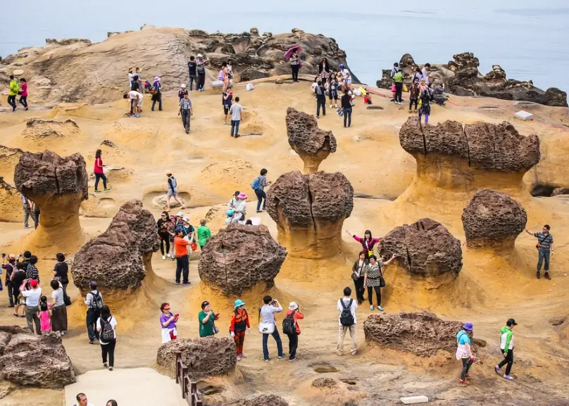 野柳地質公園交通 野柳地質公園交通