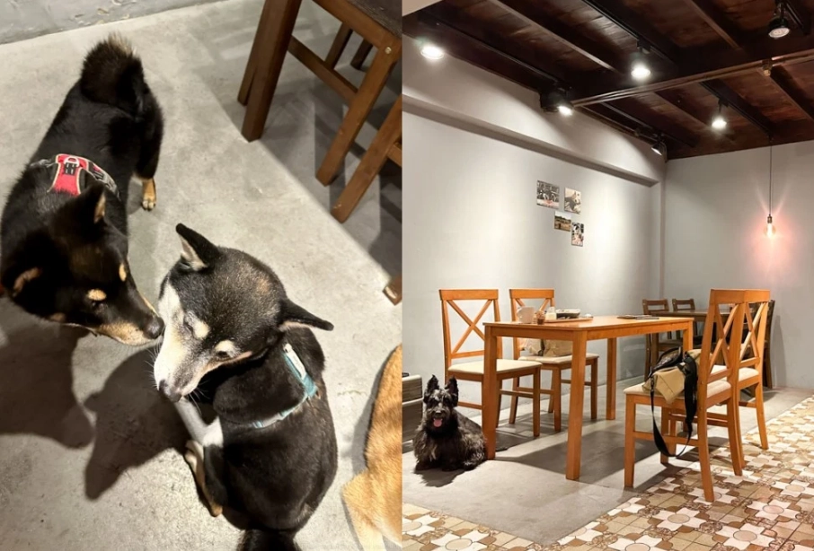 嘉義狗狗友善餐廳
