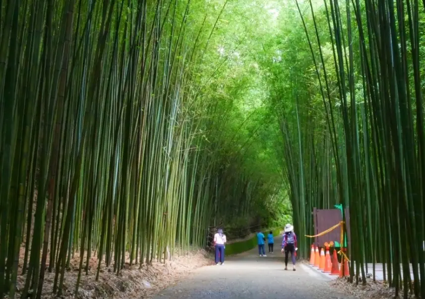 苗栗親子景點