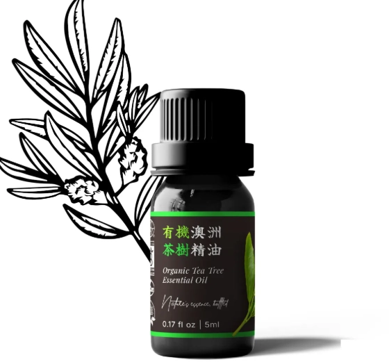 自製精油舒緩乾咳