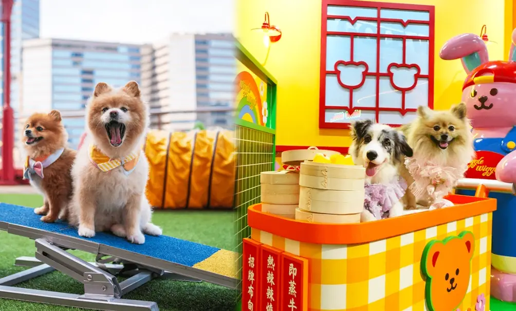 台北狗狗室內場所