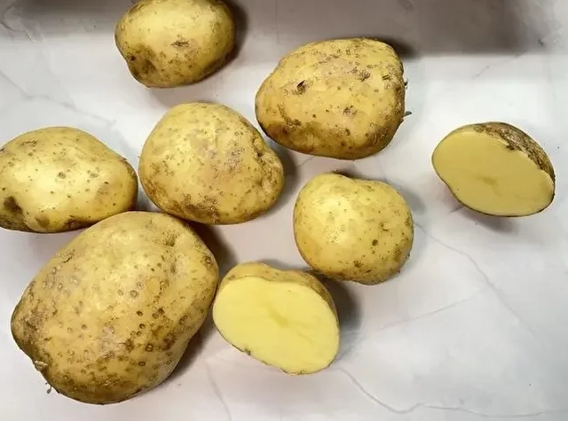 褐皮馬鈴薯 哪裡買