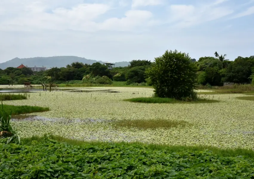高雄戶外景點