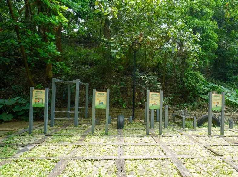 林內龍過脈步道 林內龍過脈步道