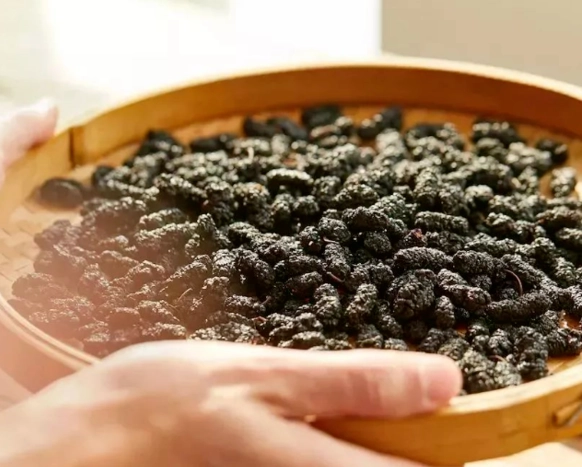 桑椹乾好處