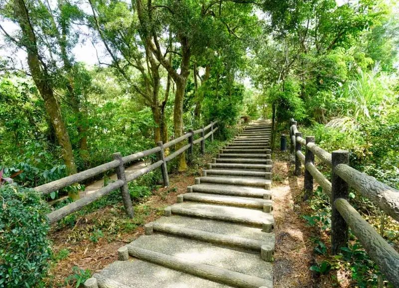 龍過脈森林步道怎麼去 龍過脈森林步道怎麼去