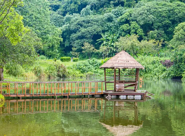 桃園秘境景點