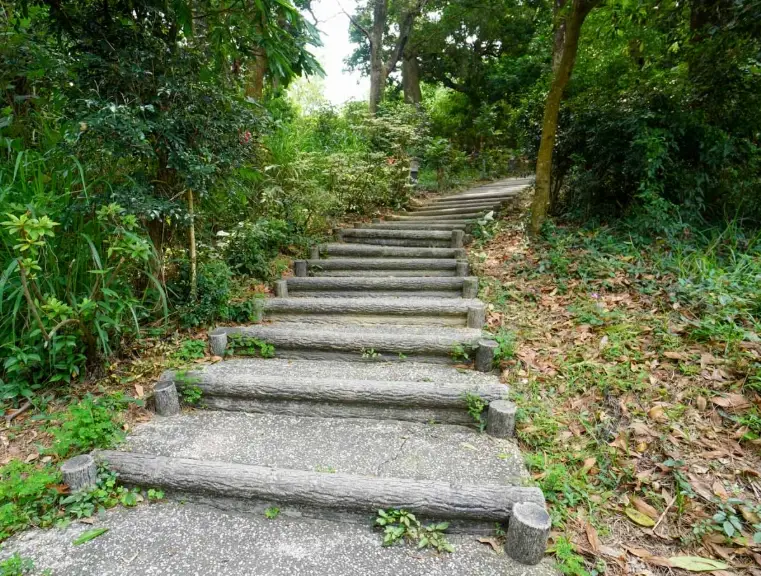 林內龍過脈步道 林內龍過脈步道