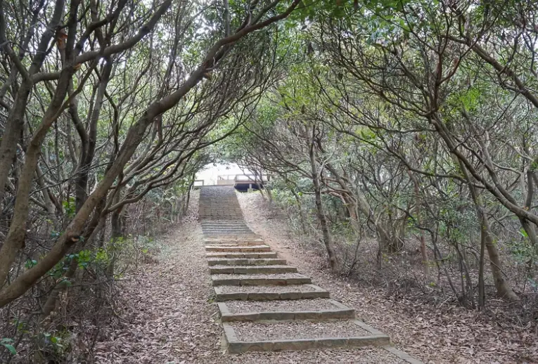 桃園秘境景點